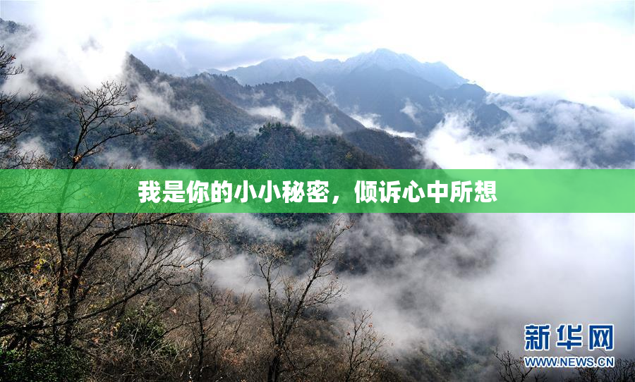我是你的小小秘密，倾诉心中所想