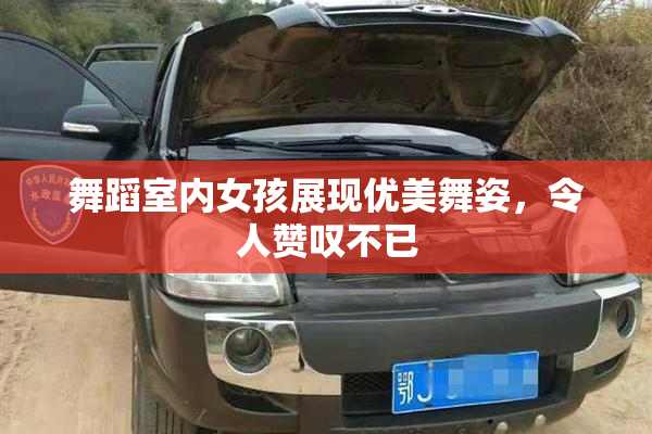 舞蹈室内女孩展现优美舞姿，令人赞叹不已