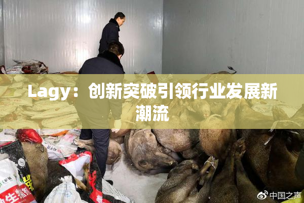 Lagy：创新突破引领行业发展新潮流