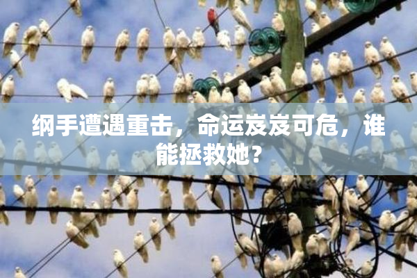 纲手遭遇重击，命运岌岌可危，谁能拯救她？
