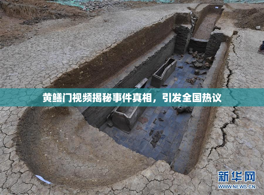 黄鳝门视频揭秘事件真相，引发全国热议