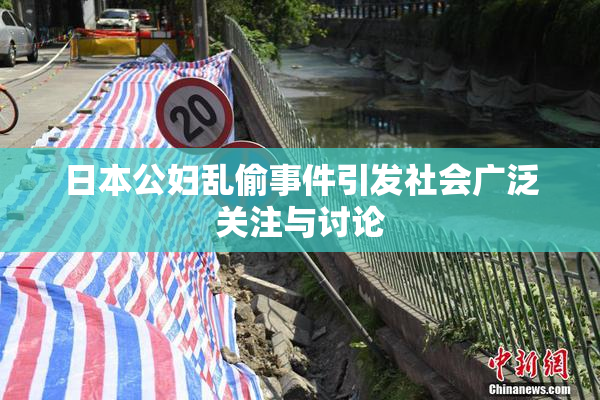 日本公妇乱偷事件引发社会广泛关注与讨论