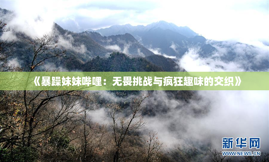 《暴躁妹妹哔哩：无畏挑战与疯狂趣味的交织》
