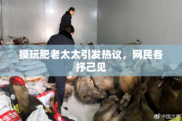 摸玩肥老太太引发热议，网民各抒己见