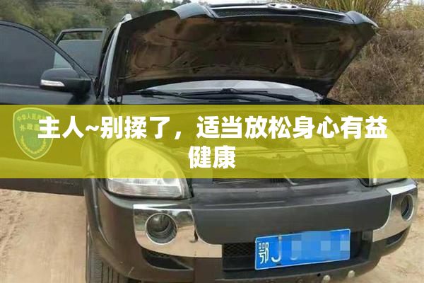 主人~别揉了，适当放松身心有益健康