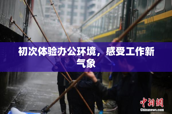 初次体验办公环境，感受工作新气象
