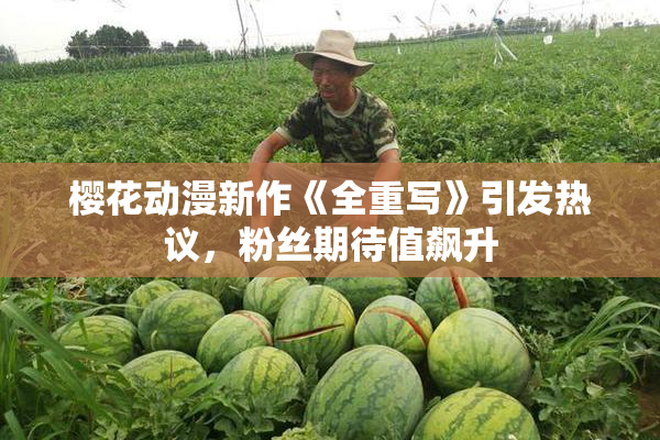 樱花动漫新作《全重写》引发热议，粉丝期待值飙升