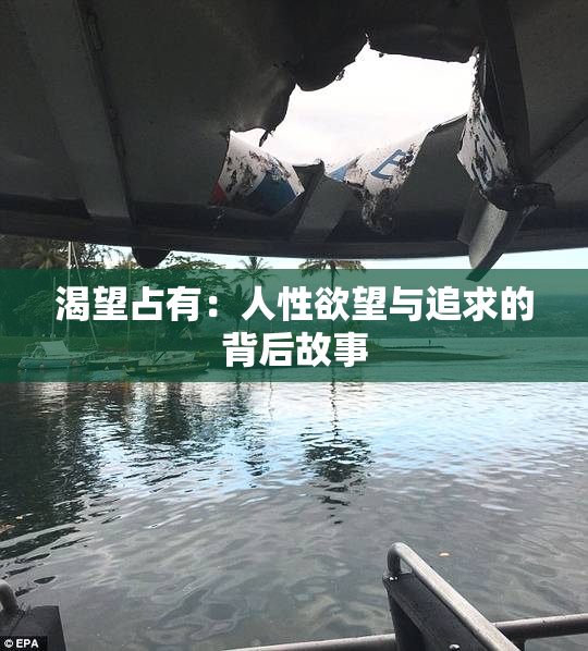渴望占有：人性欲望与追求的背后故事