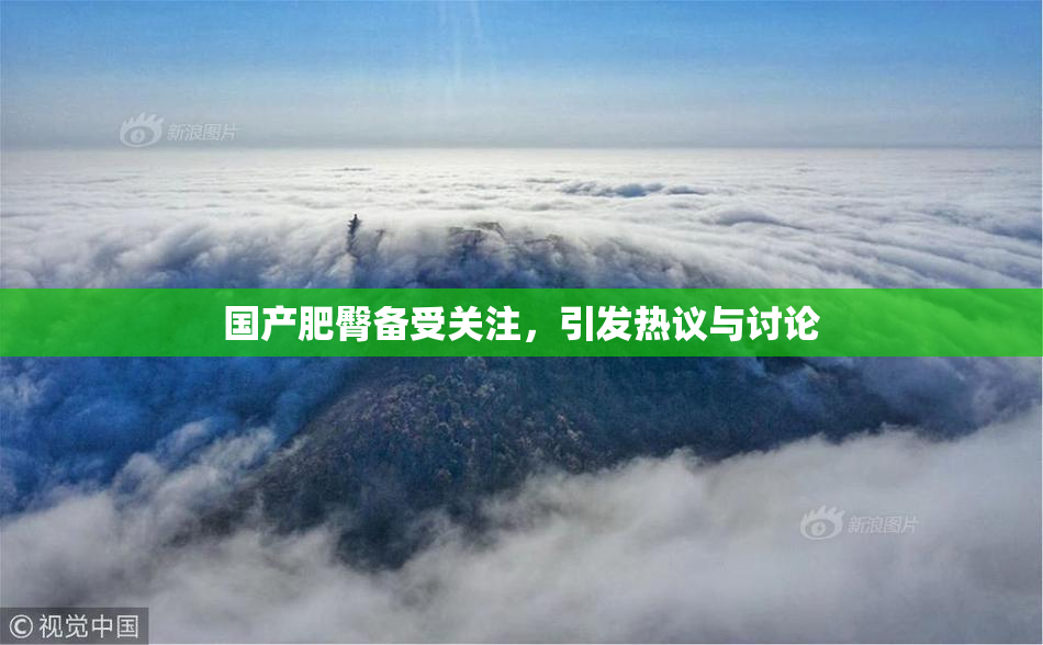 国产肥臀备受关注，引发热议与讨论