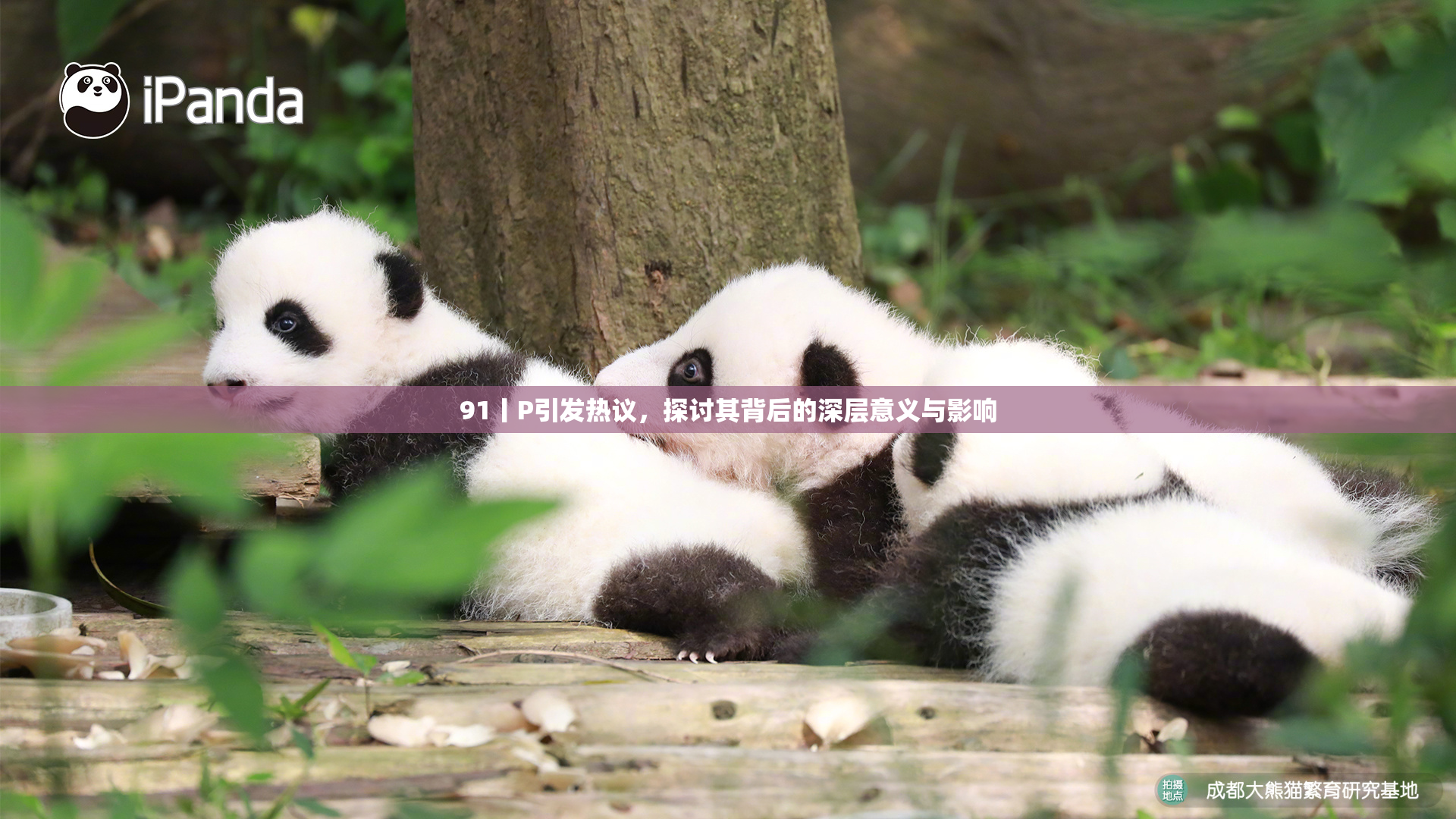 91丨P引发热议，探讨其背后的深层意义与影响