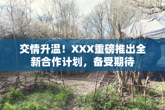 交情升温！XXX重磅推出全新合作计划，备受期待