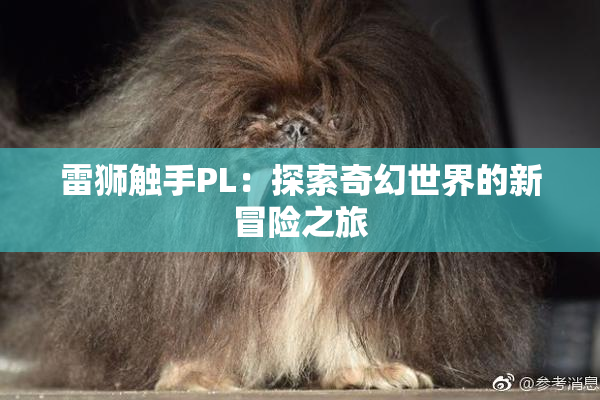 雷狮触手PL：探索奇幻世界的新冒险之旅