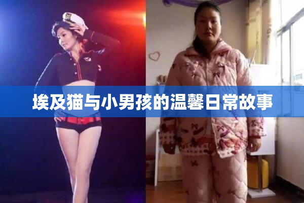 埃及猫与小男孩的温馨日常故事