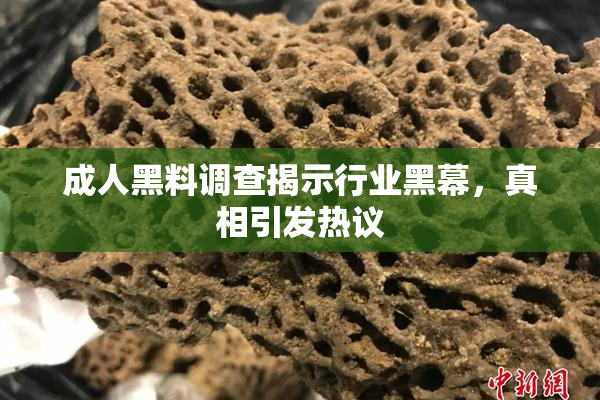 成人黑料调查揭示行业黑幕，真相引发热议