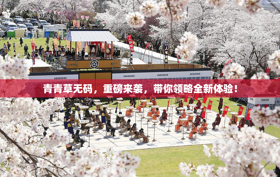 青青草无码，重磅来袭，带你领略全新体验！