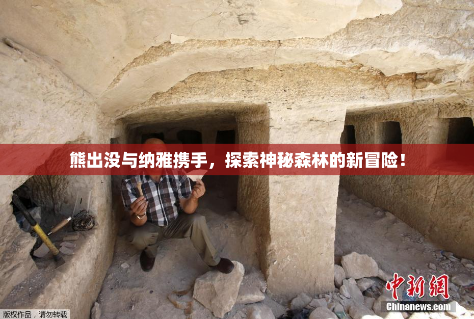 熊出没与纳雅携手，探索神秘森林的新冒险！