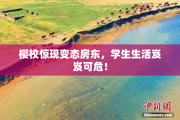樱校惊现变态房东，学生生活岌岌可危！