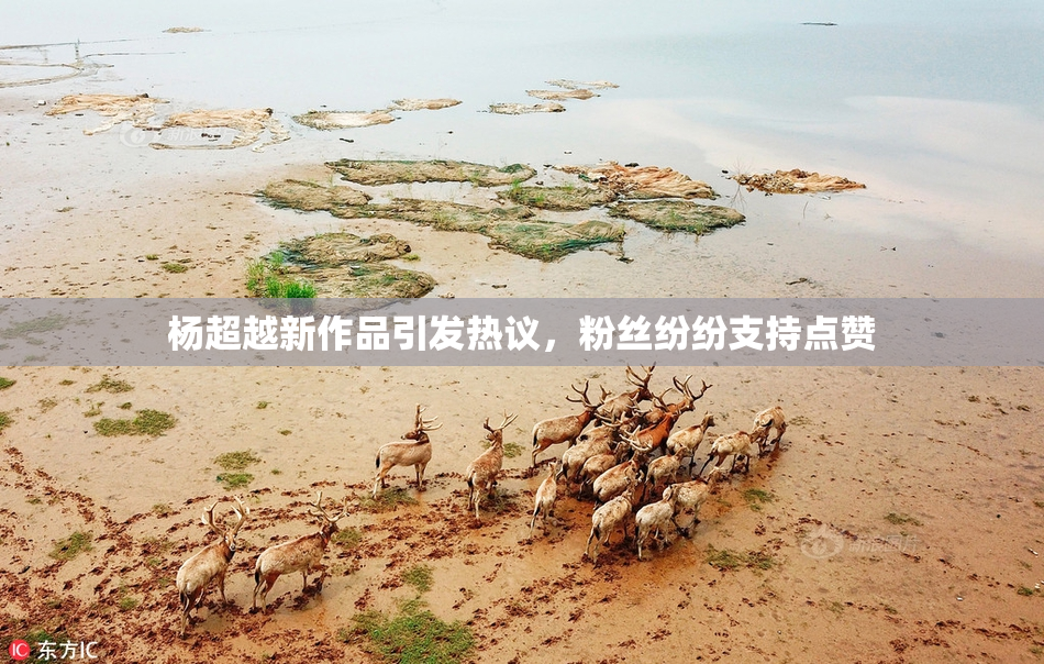 杨超越新作品引发热议，粉丝纷纷支持点赞