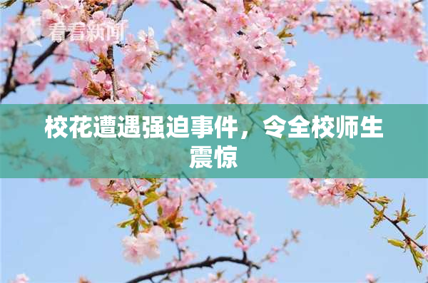 校花遭遇强迫事件，令全校师生震惊