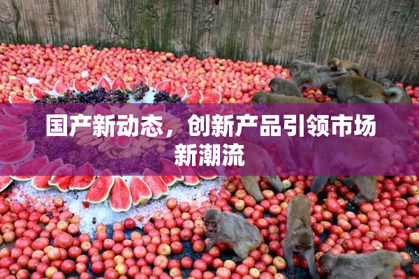 国产新动态，创新产品引领市场新潮流