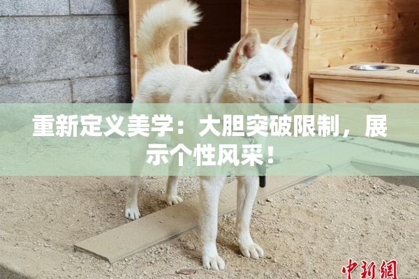 重新定义美学：大胆突破限制，展示个性风采！