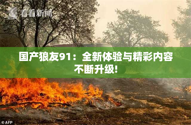 国产狼友91：全新体验与精彩内容不断升级!