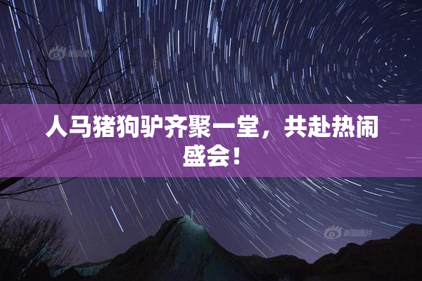 人马猪狗驴齐聚一堂，共赴热闹盛会！