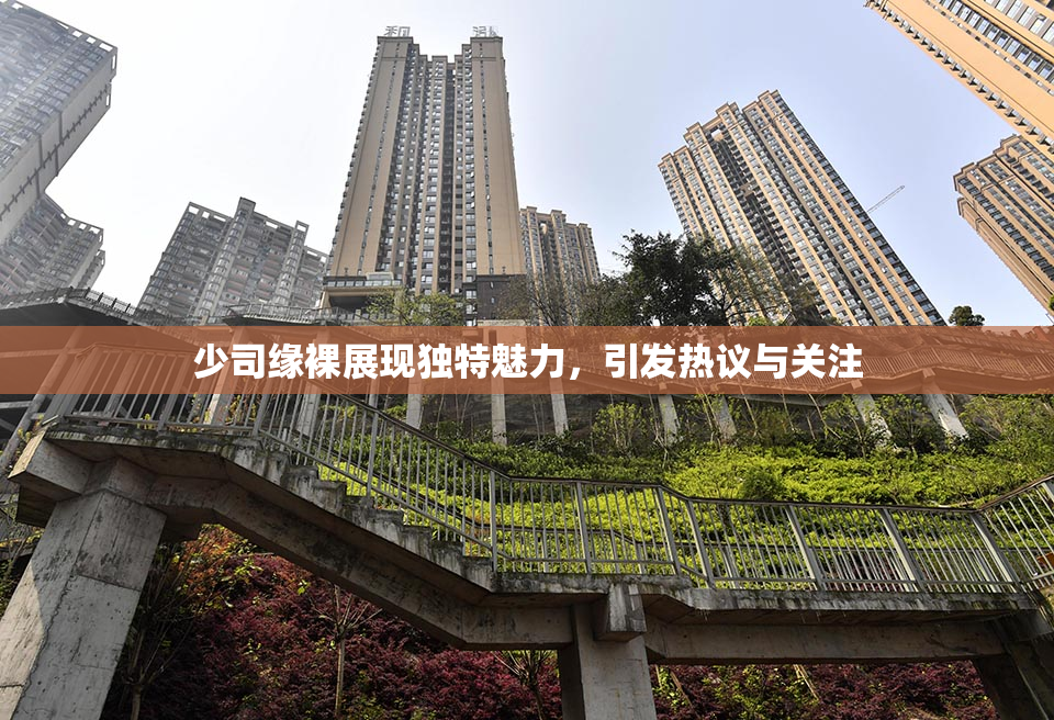少司缘裸展现独特魅力，引发热议与关注