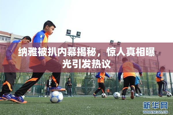 纳雅被扒内幕揭秘，惊人真相曝光引发热议
