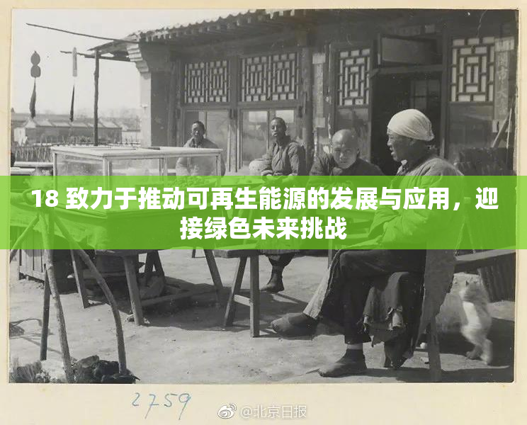 18 致力于推动可再生能源的发展与应用，迎接绿色未来挑战