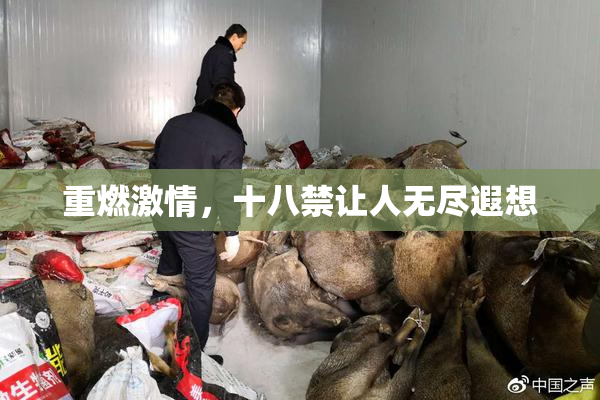 重燃激情，十八禁让人无尽遐想