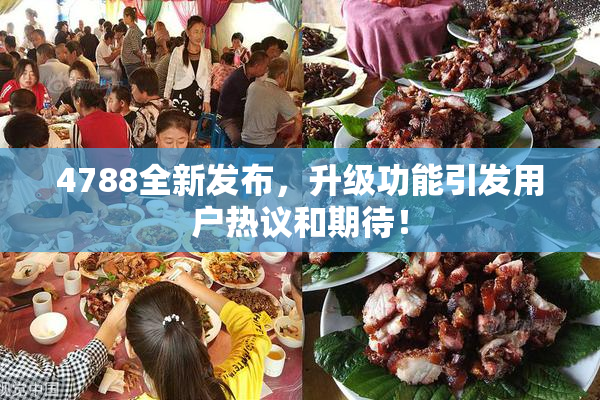 4788全新发布，升级功能引发用户热议和期待！