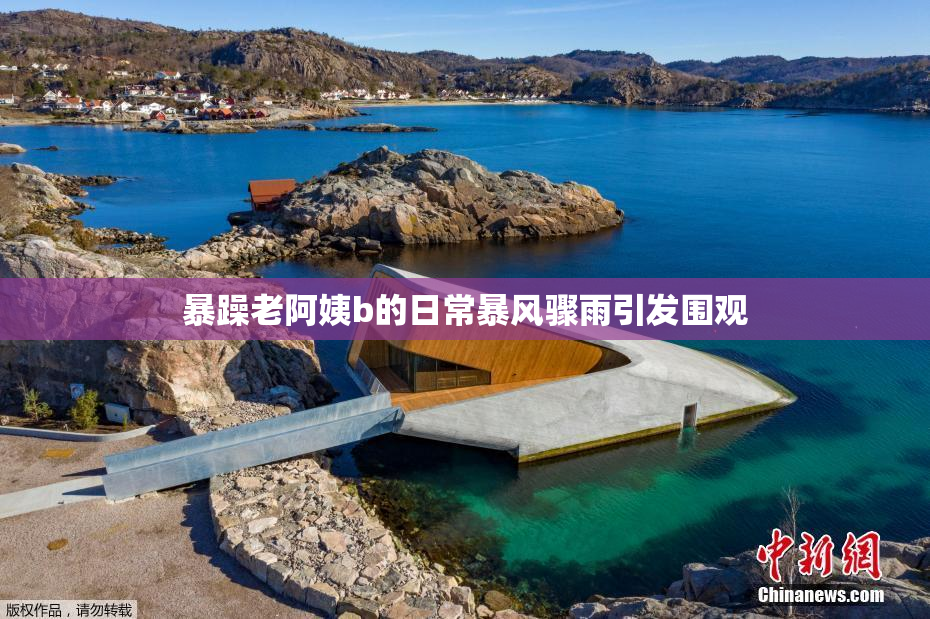暴躁老阿姨b的日常暴风骤雨引发围观