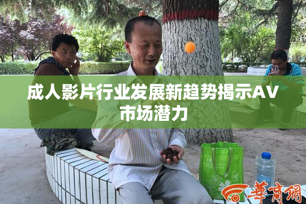 成人影片行业发展新趋势揭示AV市场潜力