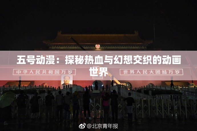 五号动漫：探秘热血与幻想交织的动画世界