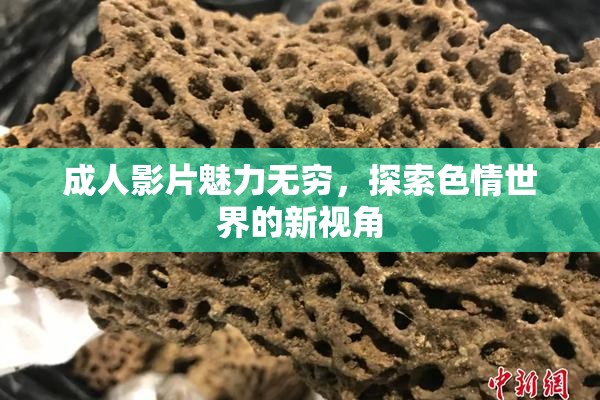 成人影片魅力无穷，探索色情世界的新视角