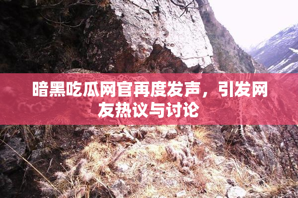 暗黑吃瓜网官再度发声，引发网友热议与讨论