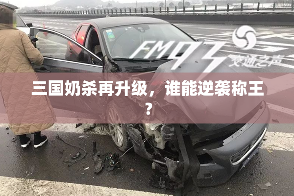 三国奶杀再升级，谁能逆袭称王？
