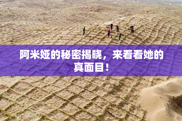 阿米娅的秘密揭晓，来看看她的真面目！
