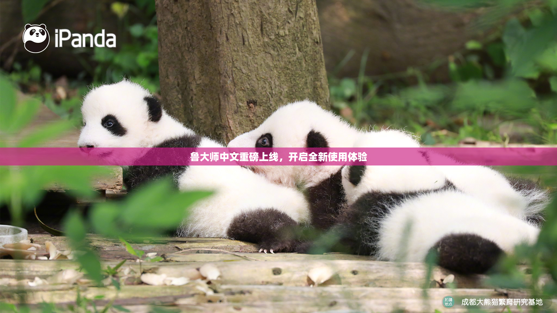 鲁大师中文重磅上线，开启全新使用体验