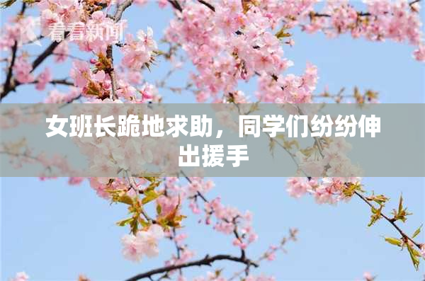 女班长跪地求助，同学们纷纷伸出援手