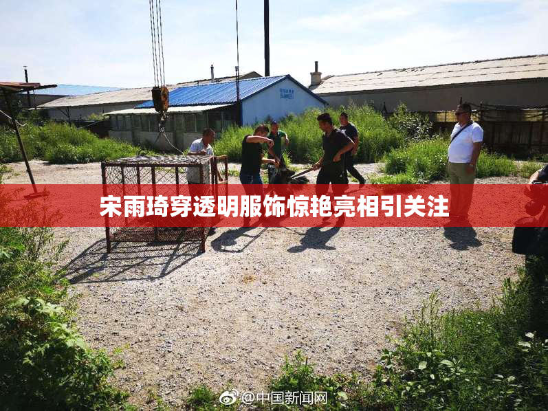 宋雨琦穿透明服饰惊艳亮相引关注