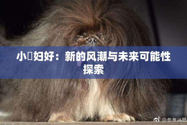 小婬妇好：新的风潮与未来可能性探索