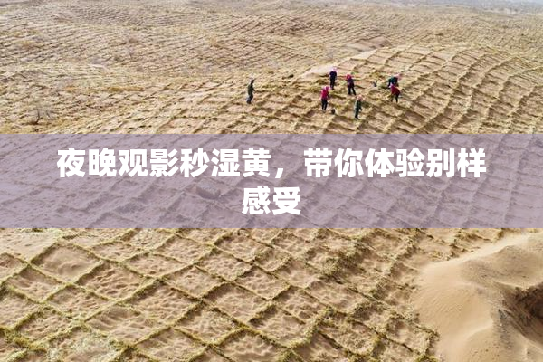 夜晚观影秒湿黄，带你体验别样感受