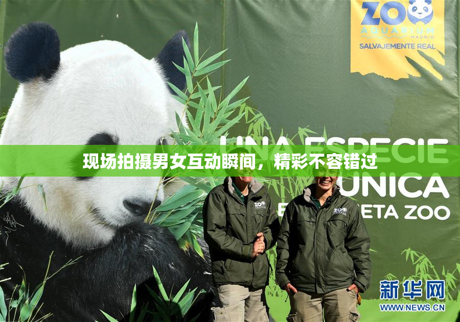 现场拍摄男女互动瞬间，精彩不容错过