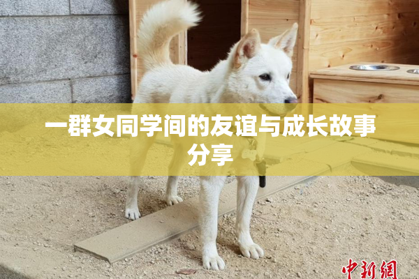 一群女同学间的友谊与成长故事分享