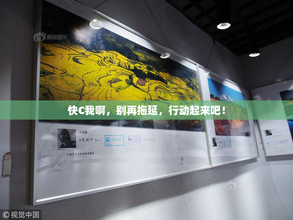 快C我啊，别再拖延，行动起来吧！