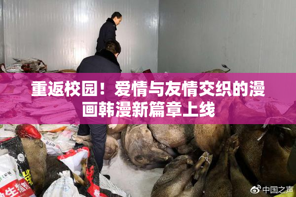 重返校园！爱情与友情交织的漫画韩漫新篇章上线