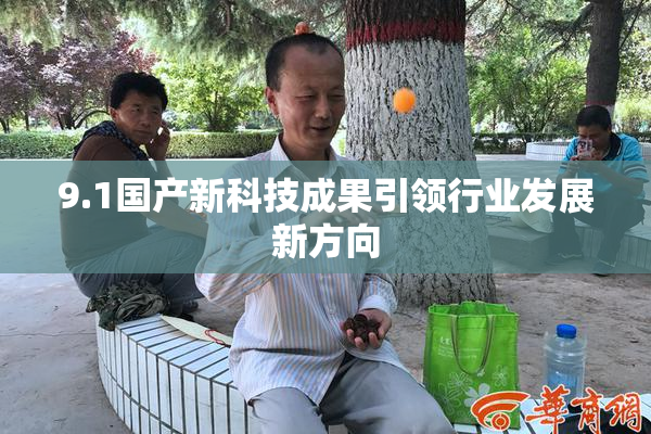 9.1国产新科技成果引领行业发展新方向