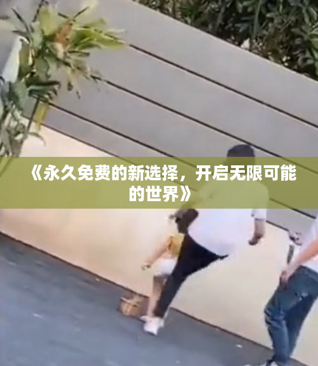 《永久免费的新选择，开启无限可能的世界》